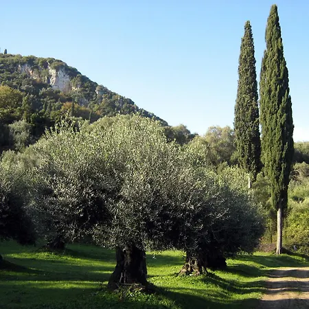 Lägenhet Avgoustina Venus Benitses (Corfu)